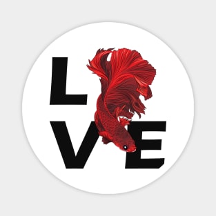 Betta Fish - Love Magnet